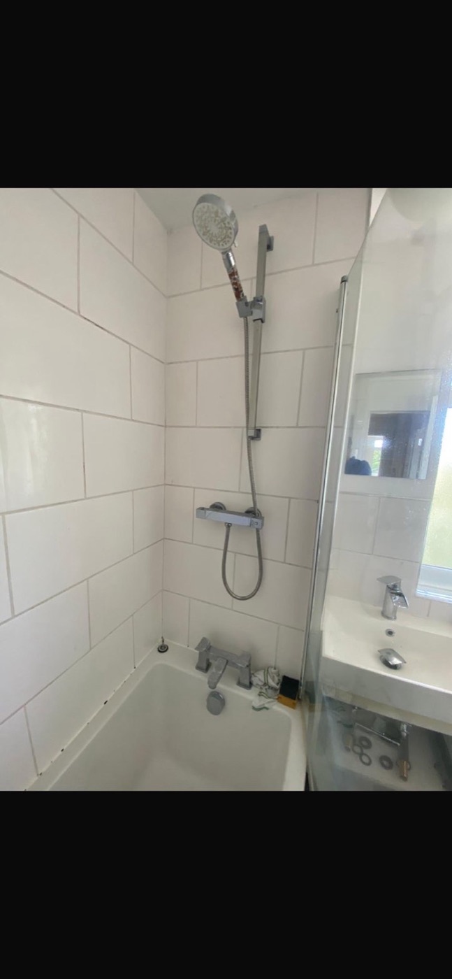 Before shower fitting upgrade with older handheld shower rail and bath mixer setup